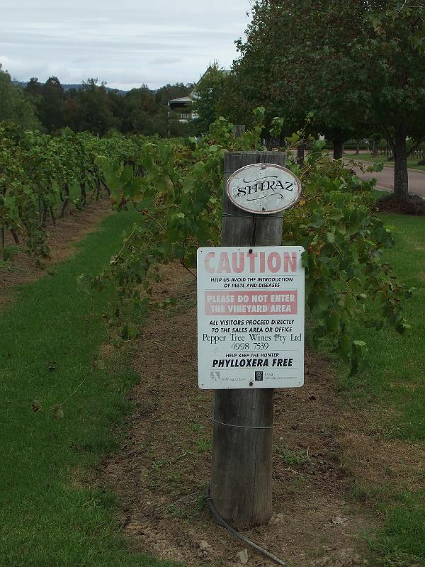 Hunter Valley (6)